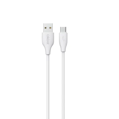 Yison Celebrat CB-31 A-C 1 Meter USB to USB Type-C Cable